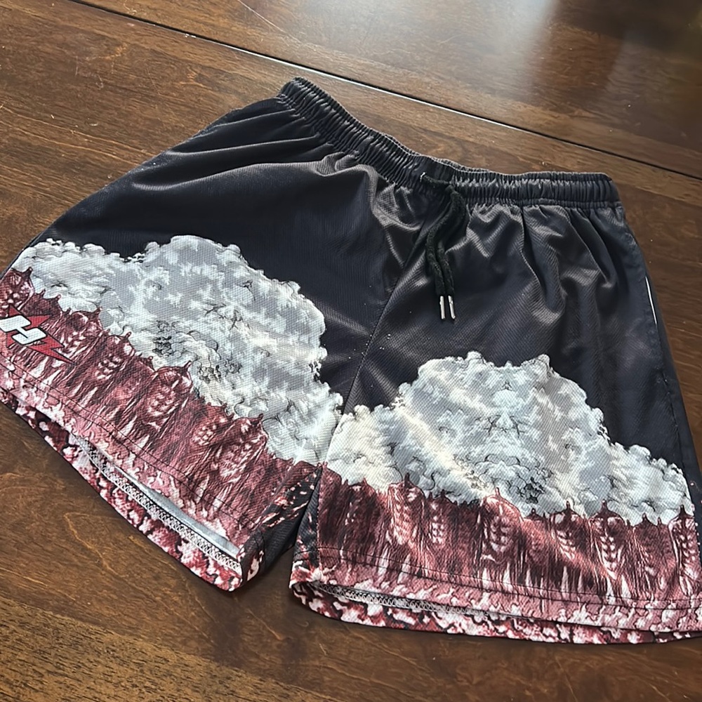 Men’s Mesh Shorts